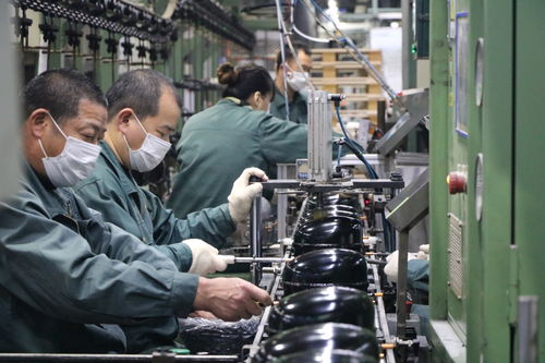 海外訂單激增，長虹電視與冰空洗產品同比大幅增長，網絡技術服務助力業務拓展