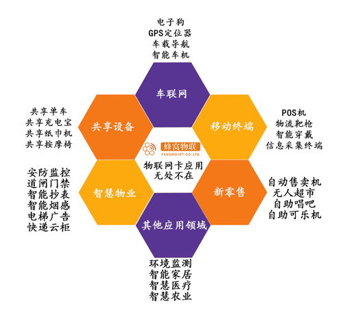 物聯網卡 賦能智能穿戴，連接無限可能——選型指南與服務展望